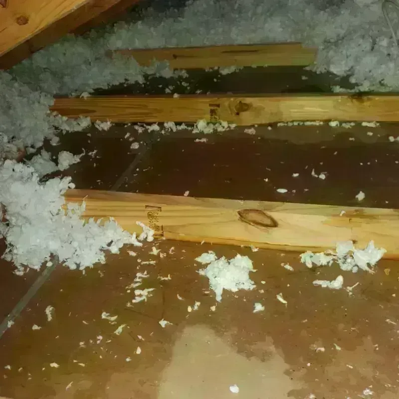 Attic Water Damage in Trenton, GA