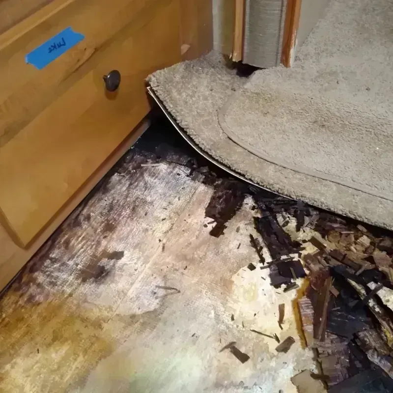 Best Wood Floor Water Damage Service in Trenton, GA